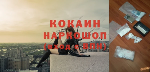 шишки Магадан