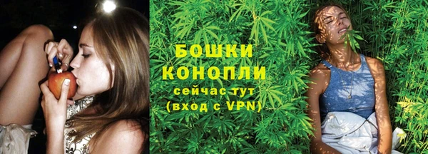 шишки Магадан