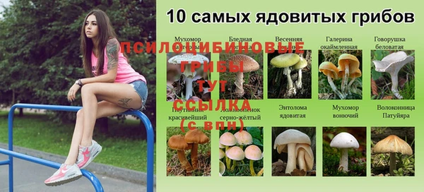 COCAINE Майский