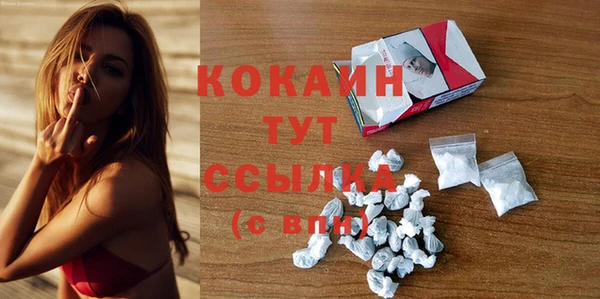 шишки Магадан