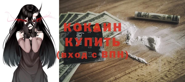 шишки Магадан