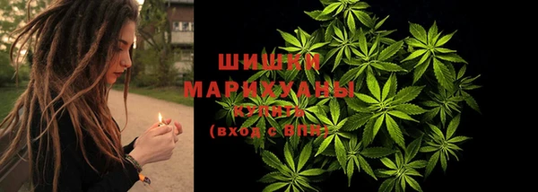 прущая мука Магас
